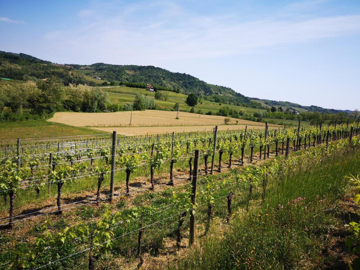 Pizzulin - Wine & Living Villa Prepotto  Buitenkant foto