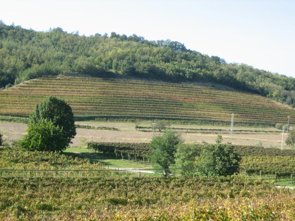 Pizzulin - Wine & Living Villa Prepotto  Buitenkant foto